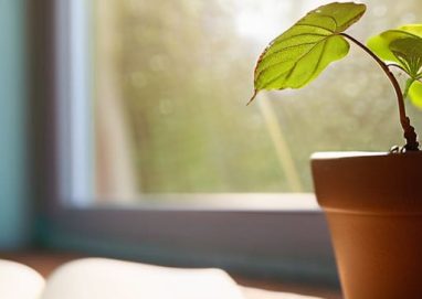 Tips on how to improve as a teacher.